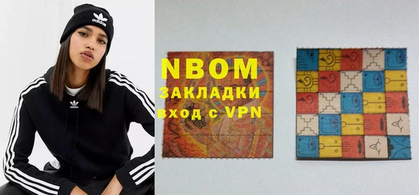 дурь Няндома