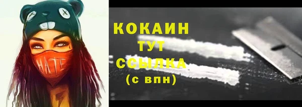 дурь Няндома