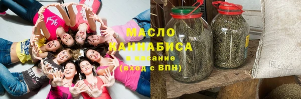 дурь Няндома