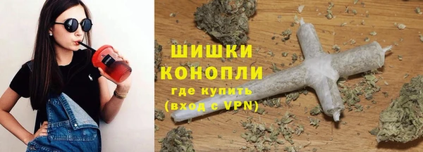 дурь Няндома