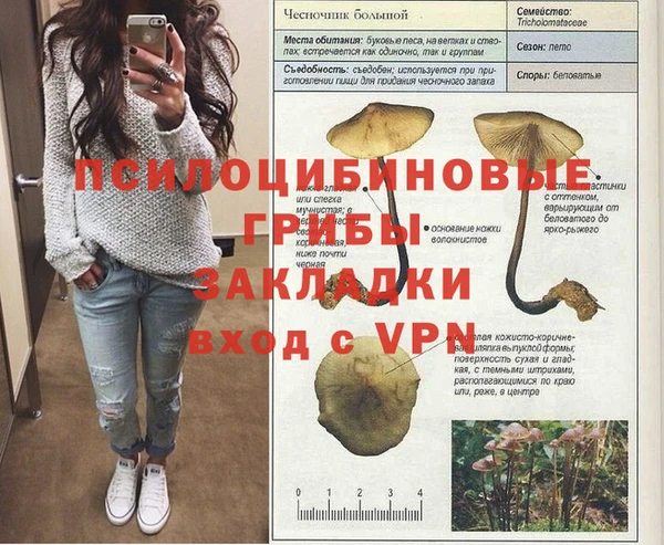 бошки Нязепетровск